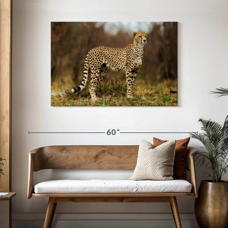 Cheetah Staring Down Its Prey, 30" H x 45" W