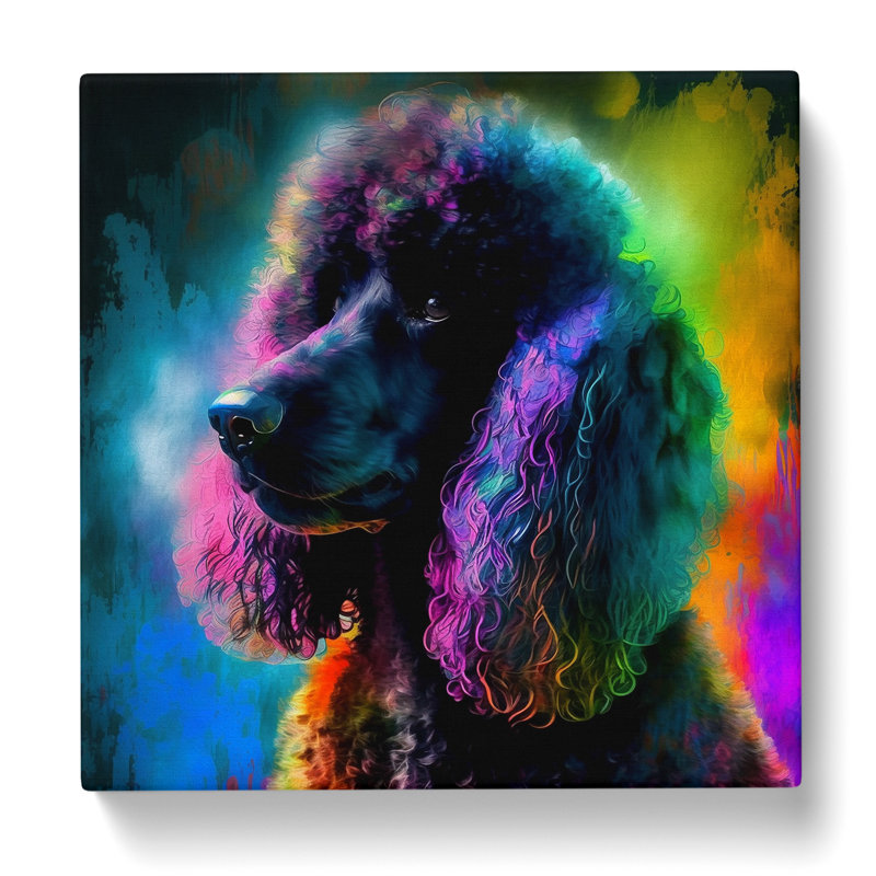 Poodle Dog Abstract Expressionism No.1 - Wrapped Canvas, 50cm H x 50cm W x 3cm D