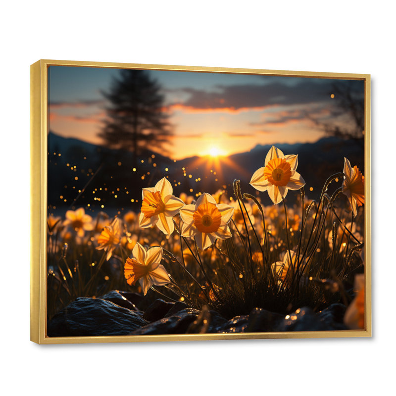 Daffodils Field Sunset I - impression, Cadre flottant doré, H 34 po x l 44 po x P 1,5 po