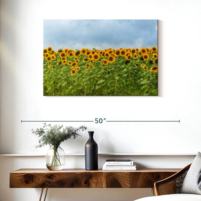Tournesols Alvord, H 24 po x l 36 po