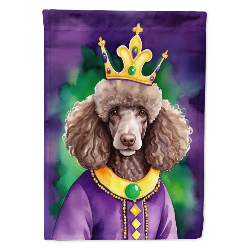 Drapeau de maison de Mardi Gras en polyester double face H 28 po x l 40 po