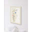 Oxeye Daisies 1 Print-835049833
