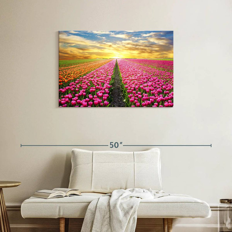 Champ de tulipes, H 24 po x l 36 po