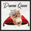 Drama Queen Pomeranian (Square) par By Jodi - impression-1372014475-1372014492