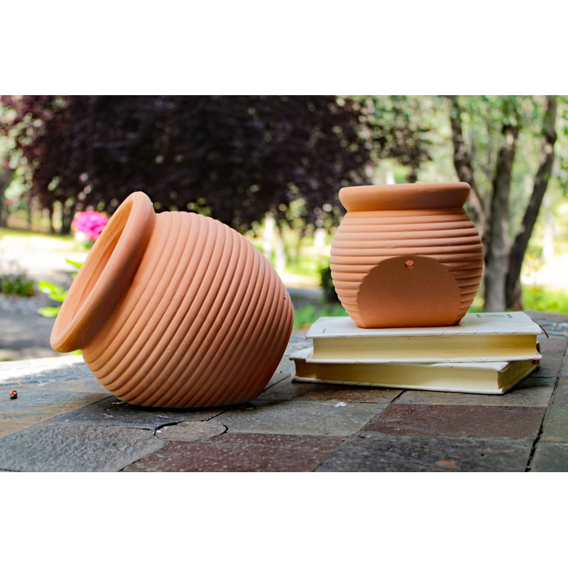 Amariae Pot Planter