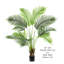 ARBRE DE PAUME 48 "PARADISE