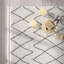 Adel area rug Machine Woven Rectangle White-34294953