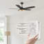 Amonie 56'' Ceiling Fan with LED Lights-1291924018-1291924029