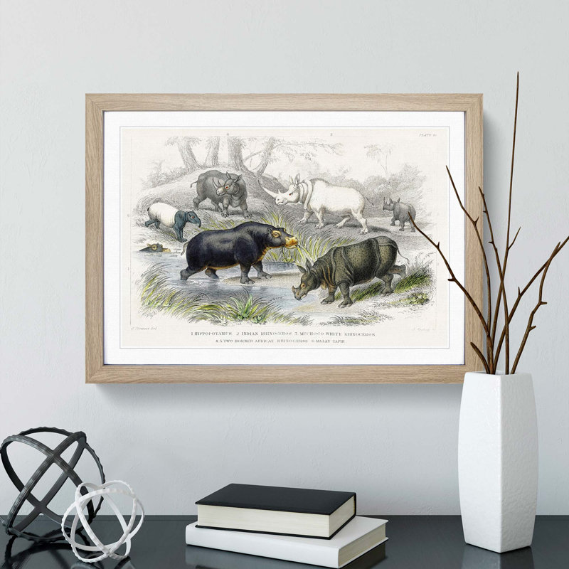 Hippopotamus and Rhinoceros by Oliver Goldsmith - Picture Frame Painting Print, Oak Framed, 27cm H x 36cm W x 2cm D