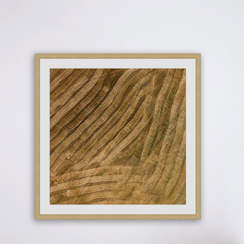 Single Picture Frame Print, 41 cm H x 41 cm W x 3.81 cm D