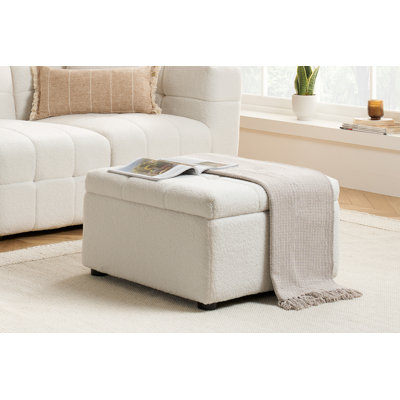 Ahmira 69.00cm Wide Cube Solid Colour Footstool Ottoman with Storage