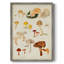 Reproduction encadrée de champignon Mushroom Species-44064206
