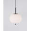 1 - Light Black Sphere Pendant