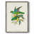Lime&CeruleanParrotsII Framed Print - Solid Wood-470211400
