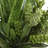 Uttermost Sundown Succulent Accent Planter