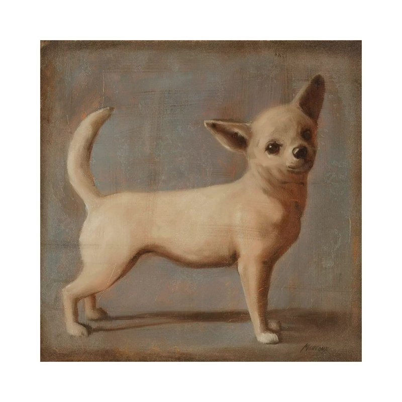 Chihuahua II by Julianne Marcoux - Wrapped Canvas Print, 45.72 cm H x 45.72 cm W