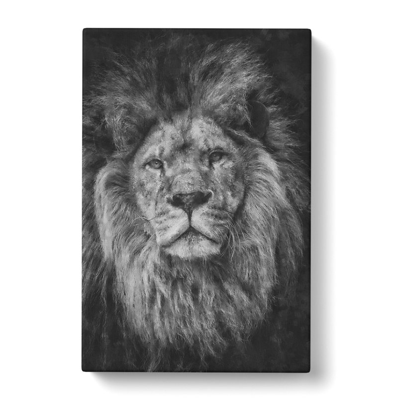 View of a Lion - Wrapped Canvas Painting, 50cm H x 35cm W x 3cm D