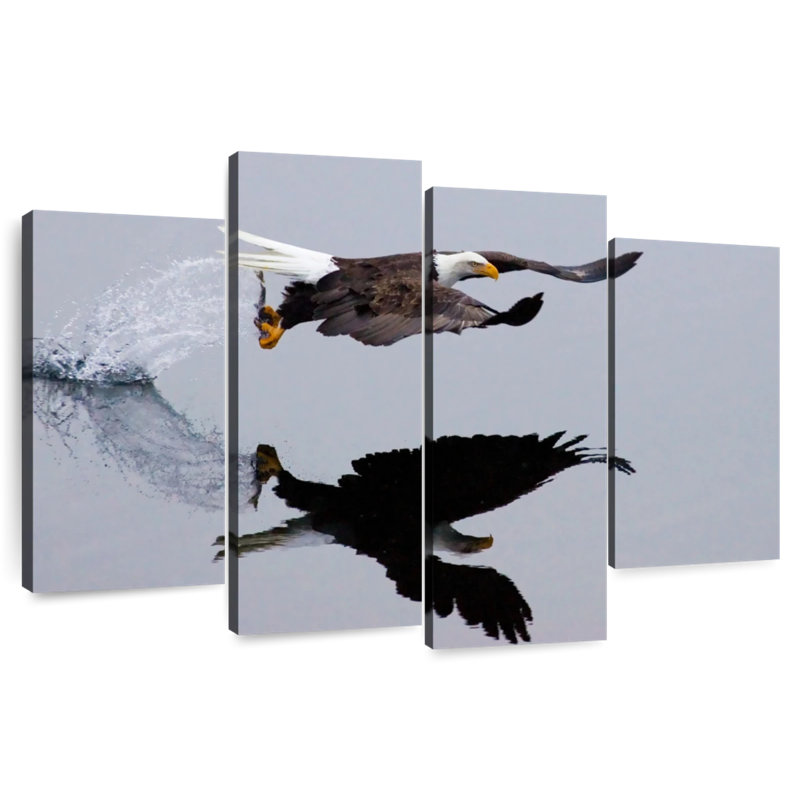 Fishing Bald Eagle, H 27 po x l 43 po