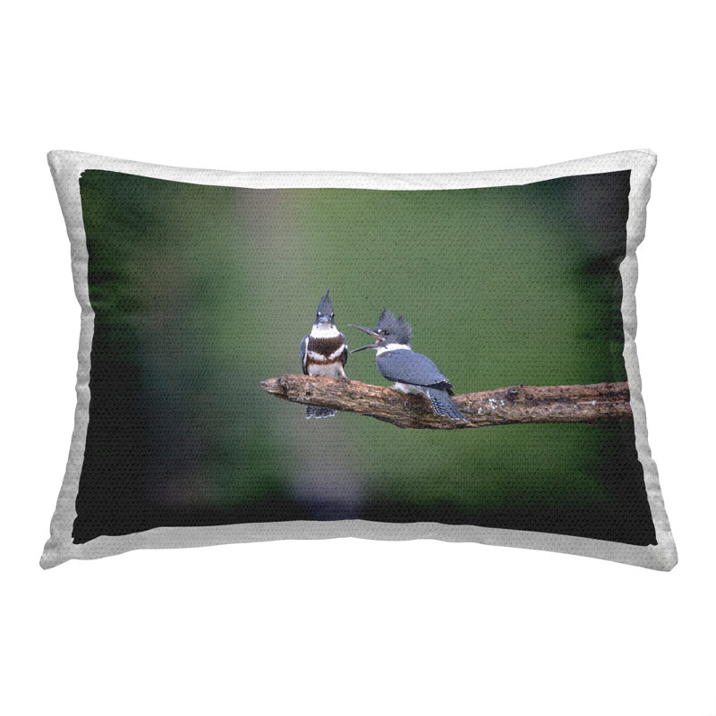 Outdoor Throw Pillow