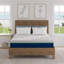 Matelas hybride Nautica: couche de mousse de latex confortable avec base à ressorts enveloppés-86641054-111124100