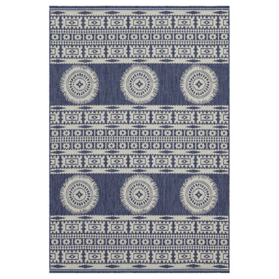Blue Indoor/Outdoor Area Rug