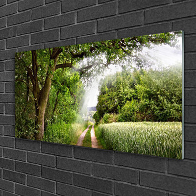 Nature Trees Footpath 1 Piece Wall Art on Glass