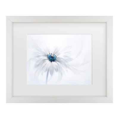 Framed Wall Art - Jacky Parker ‘Serenity’ Wall Decor with Matted Frame - Living Room, Kitchen, and Bathroom Art - 16x20