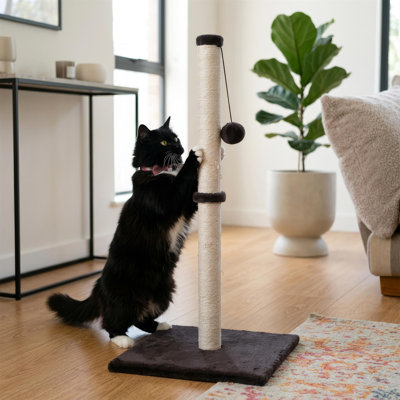 Scratching Post