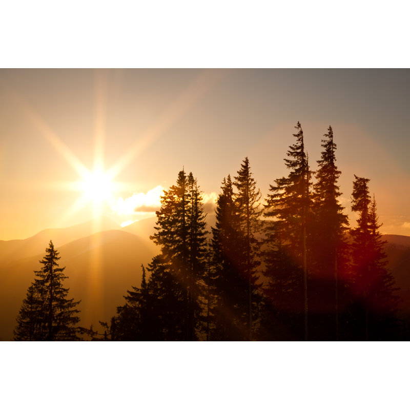 Winter Sun by YouraPechkin - Print, 81cm H x 122cm W x 3.8cm D