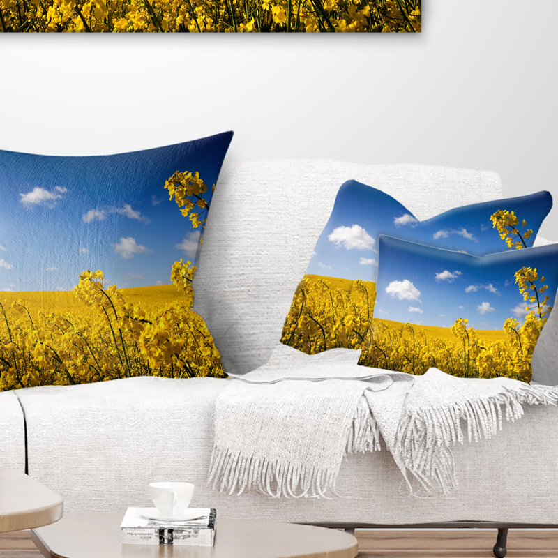 Coussin lombaire Photographie