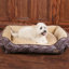 Coussin de salon auto-chauffant-45862426-45862427
