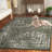Timothe Performance Oriental Rug-942271276