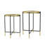 Ensemble de 2 tables d'appoint en fer doré et noir avec plateau en verre