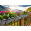 Aashma Self-watering Planters, Troughs, Flower Pots for Balcony Rails-259204264-259204267-259204270