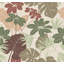Medellin Wallpaper Double Roll-1019783825