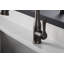 Motif Pull-Down Kitchen Faucet with Soap/Lotion Dispenser-2129210599