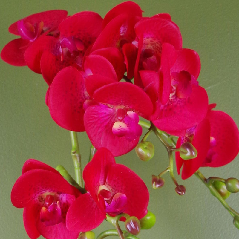 Plastic, Silk Artificial Arrangement in Pot