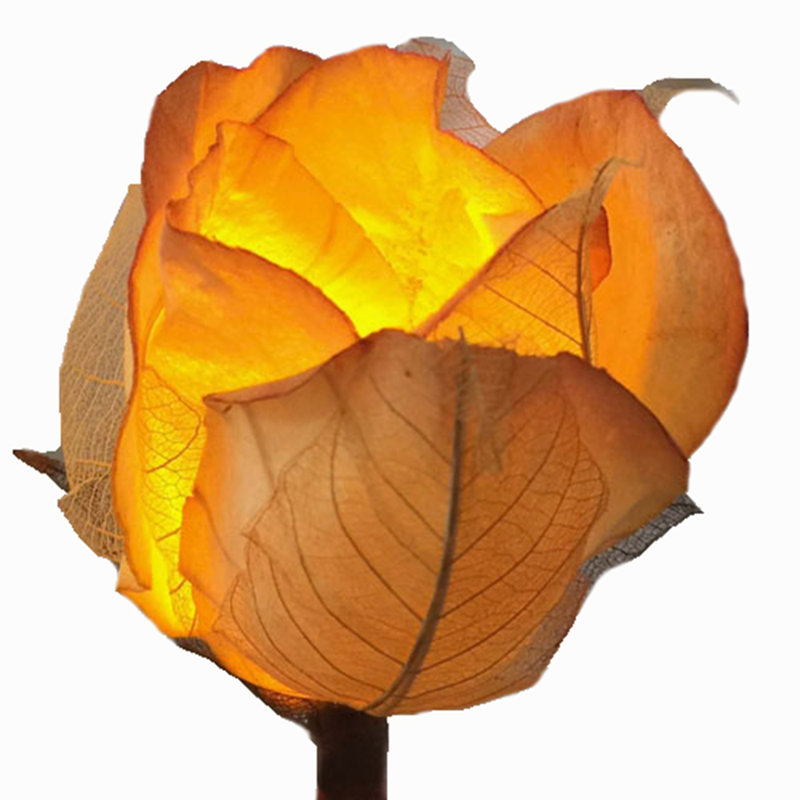 Vold LED Handmade Paper Roses String Light, Golden Peach