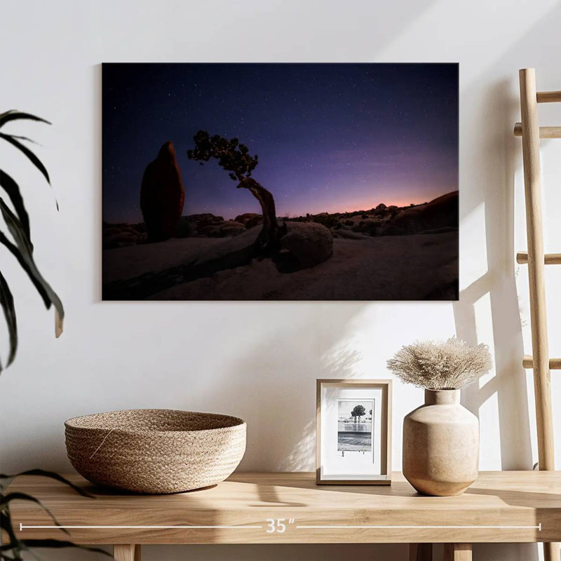 Nicci Joshua Tree Night Landscape, 16" H x 24" W
