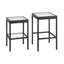Alexis Glass Top Nesting Tables-1719373510
