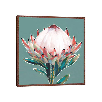 Blooming King Protea by Isabelle Z - Painting on Canvas
