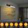 Hardwired LED Wall Mounted Picture Light