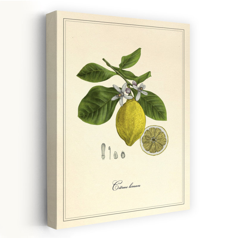 Citron et fleurs rétro, art floral rétro, H 24 po x l 16 po