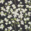 Blooming Branch Fabric-35102859