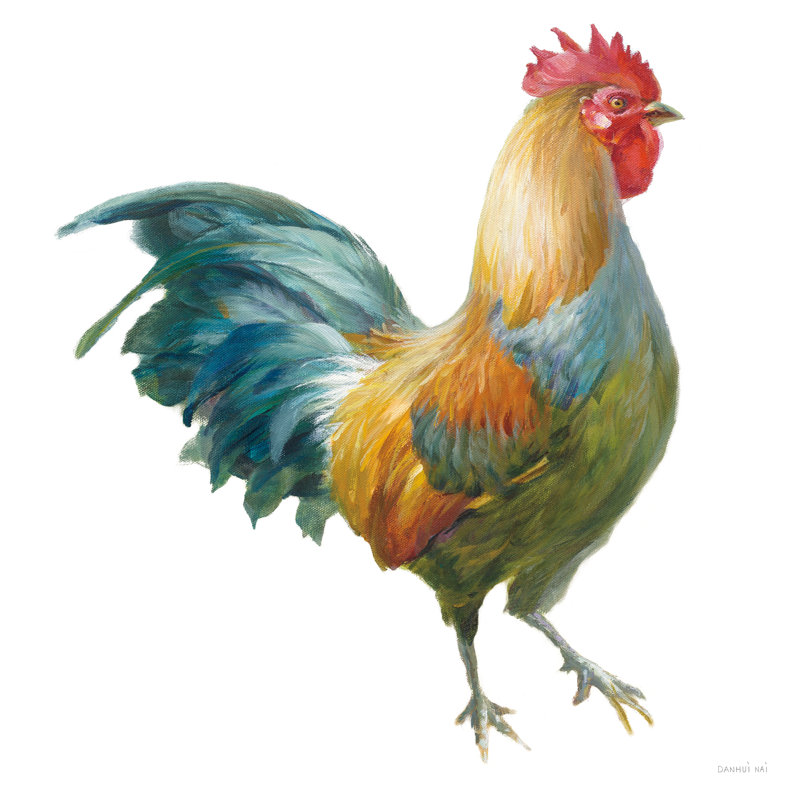 Noble Rooster III On White by Danhui Nai - Wrapped Canvas Painting, 76cm H x 76cm W