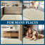 Neance Rectangle Non-Slip Bath Mat Chenille doormat -836140043-836004764