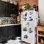 Ornements décoratifs-1301400385
