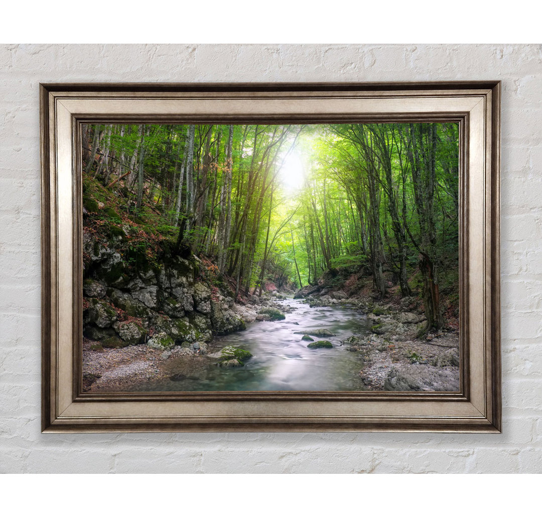 Green Woodland Stream Walk - Einzelner Bilderrahmen Kunstdrucke