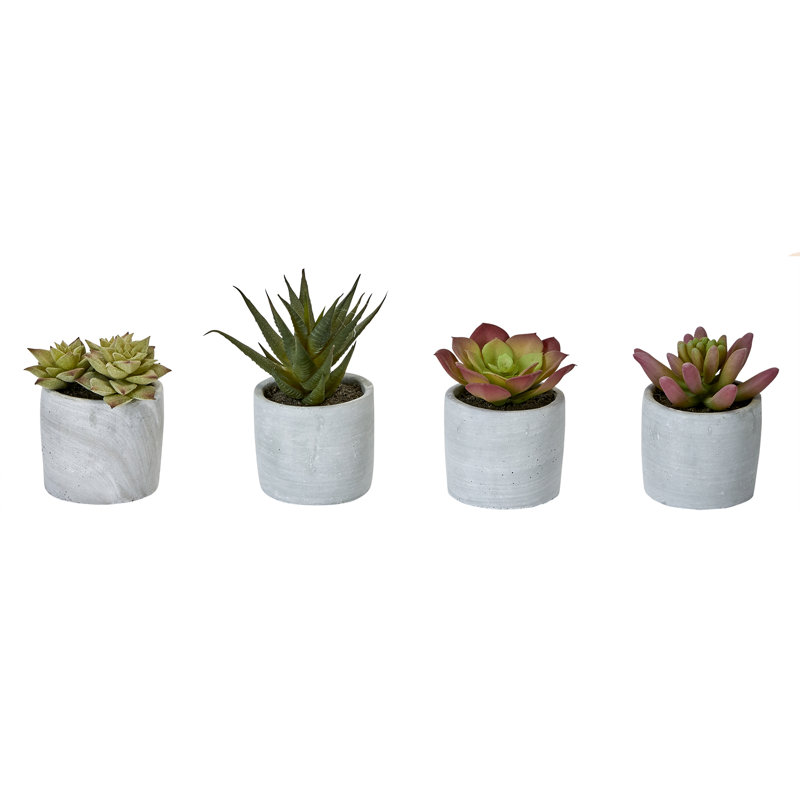6'' Assorted Faux Succulent Plants in Ceramic Pots, Set of 4