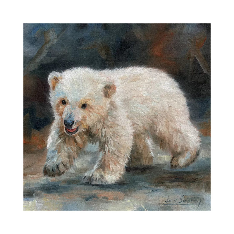 Polar Bear Baby by David Stribbling - Wrapped Canvas Painting, 45.72 cm H x 45.72 cm W x 3.175 cm D